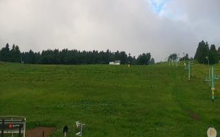 Zieleniec PTZ #2 Winterpol - 13-06-2026 03:55