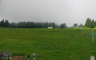 Zieleniec PTZ #2 Winterpol - 13-06-2026 04:10