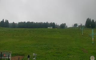 Zieleniec PTZ #2 Winterpol - 13-06-2026 04:25