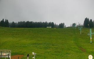 Zieleniec PTZ #2 Winterpol - 13-06-2026 04:41