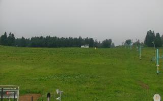 Zieleniec PTZ #2 Winterpol - 13-06-2026 05:27