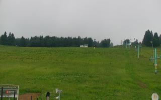 Zieleniec PTZ #2 Winterpol - 13-06-2026 05:50