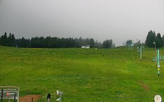 Zieleniec PTZ #2 Winterpol - 13-06-2026 06:06