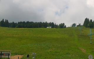 Zieleniec PTZ #2 Winterpol - 17-06-2026 09:33