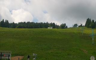 Zieleniec PTZ #2 Winterpol - 17-06-2026 09:41