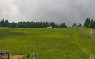 Zieleniec PTZ #2 Winterpol - 17-06-2026 09:48