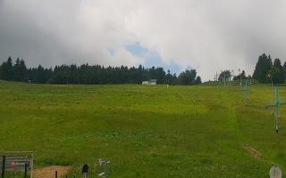 Zieleniec PTZ #2 Winterpol - 17-06-2026 09:56