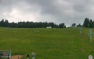 Zieleniec PTZ #2 Winterpol - 17-06-2026 13:09