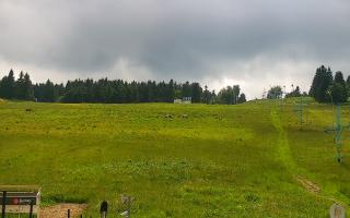 Zieleniec PTZ #2 Winterpol - 17-06-2026 13:16