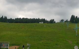 Zieleniec PTZ #2 Winterpol - 17-06-2026 13:24