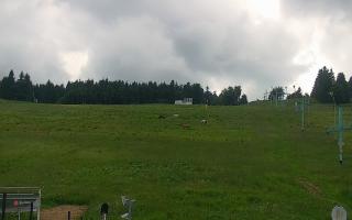 Zieleniec PTZ #2 Winterpol - 17-06-2026 13:40