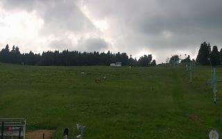 Zieleniec PTZ #2 Winterpol - 17-06-2026 13:47
