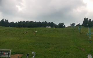 Zieleniec PTZ #2 Winterpol - 17-06-2026 13:55