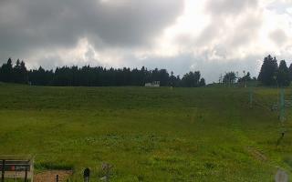 Zieleniec PTZ #2 Winterpol - 17-06-2026 14:18