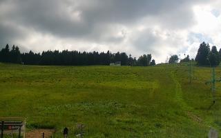 Zieleniec PTZ #2 Winterpol - 17-06-2026 14:26
