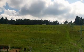 Zieleniec PTZ #2 Winterpol - 17-06-2026 14:34