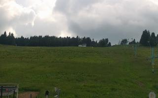 Zieleniec PTZ #2 Winterpol - 17-06-2026 14:41