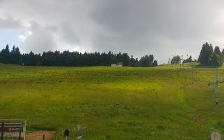 Zieleniec PTZ #2 Winterpol - 17-06-2026 14:57