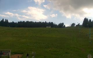 Zieleniec PTZ #2 Winterpol - 17-06-2026 15:12
