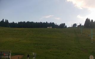 Zieleniec PTZ #2 Winterpol - 17-06-2026 15:35