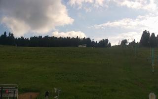 Zieleniec PTZ #2 Winterpol - 17-06-2026 15:51