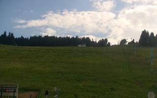 Zieleniec PTZ #2 Winterpol - 17-06-2026 16:06