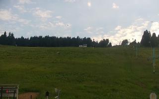 Zieleniec PTZ #2 Winterpol - 17-06-2026 16:37