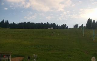 Zieleniec PTZ #2 Winterpol - 17-06-2026 16:45