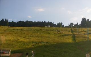 Zieleniec PTZ #2 Winterpol - 17-06-2026 16:52