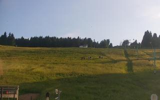 Zieleniec PTZ #2 Winterpol - 17-06-2026 17:00