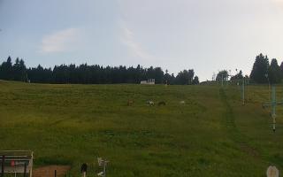 Zieleniec PTZ #2 Winterpol - 17-06-2026 17:08