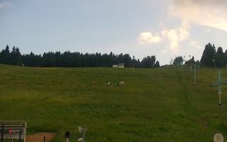 Zieleniec PTZ #2 Winterpol - 17-06-2026 17:15