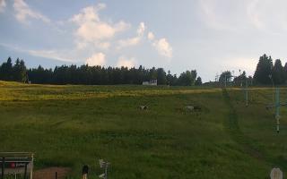 Zieleniec PTZ #2 Winterpol - 17-06-2026 17:23