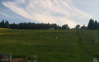 Zieleniec PTZ #2 Winterpol - 17-06-2026 17:31
