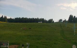 Zieleniec PTZ #2 Winterpol - 17-06-2026 17:39