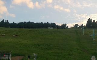 Zieleniec PTZ #2 Winterpol - 17-06-2026 17:46