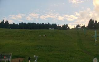 Zieleniec PTZ #2 Winterpol - 17-06-2026 17:54