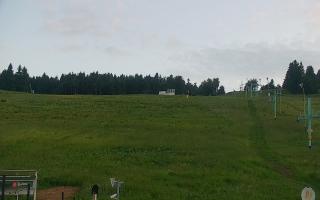 Zieleniec PTZ #2 Winterpol - 17-06-2026 18:56
