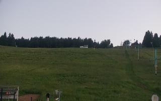 Zieleniec PTZ #2 Winterpol - 17-06-2026 19:19