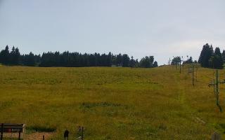 Zieleniec PTZ #2 Winterpol - 27-06-2026 13:39
