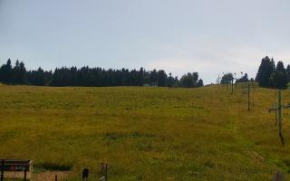 Zieleniec PTZ #2 Winterpol - 27-06-2026 13:47