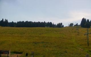 Zieleniec PTZ #2 Winterpol - 27-06-2026 13:54