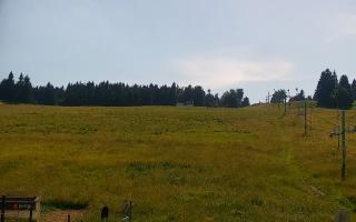 Zieleniec PTZ #2 Winterpol - 27-06-2026 14:02