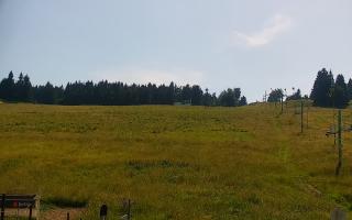 Zieleniec PTZ #2 Winterpol - 27-06-2026 14:10