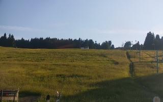 Zieleniec PTZ #2 Winterpol - 27-06-2026 16:44