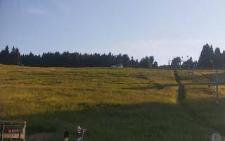 Zieleniec PTZ #2 Winterpol - 27-06-2026 17:07
