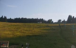 Zieleniec PTZ #2 Winterpol - 27-06-2026 17:15