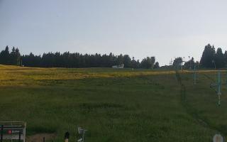 Zieleniec PTZ #2 Winterpol - 27-06-2026 17:23