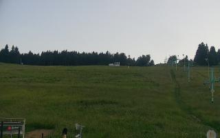Zieleniec PTZ #2 Winterpol - 27-06-2026 18:09