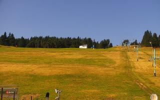 Zieleniec PTZ #2 Winterpol - 30-07-2026 07:33